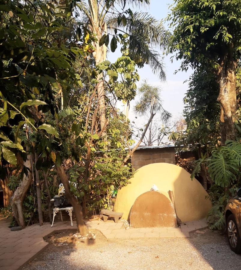 Posada Bugambilias Tepoztlan Bagian luar foto